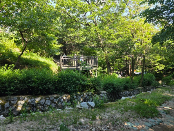 KakaoTalk_20250526_135226321_03.jpg