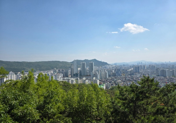 KakaoTalk_20250526_135226321_15.jpg